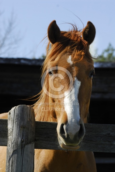 Spring Summer Vertical