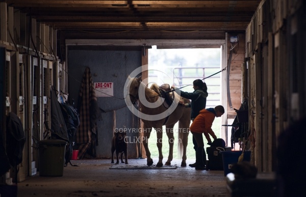Trail Riding English Boarding Barn