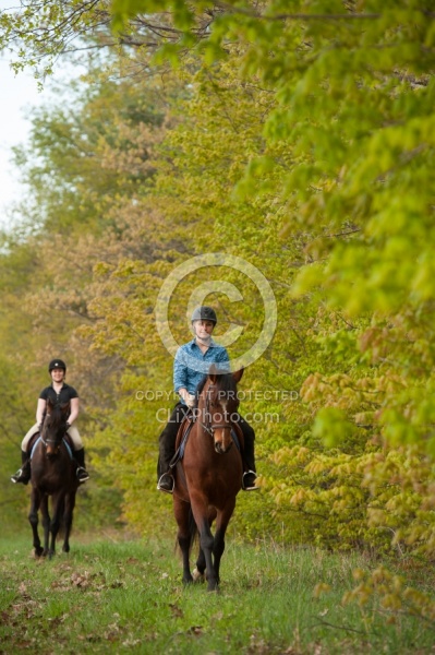 Trail Riding English