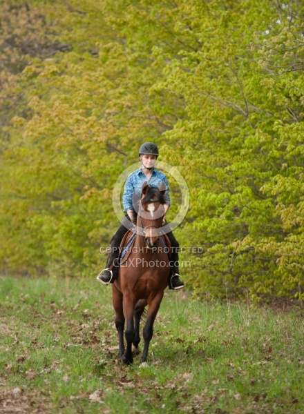 Trail Riding English