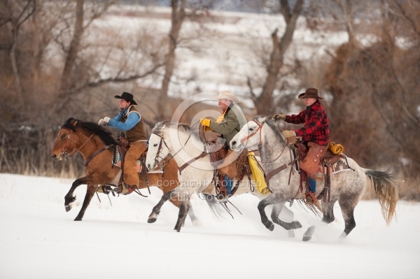 Winter Cowboys