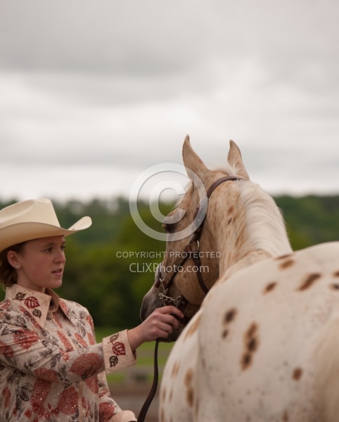 Appaloosa Showing Halter