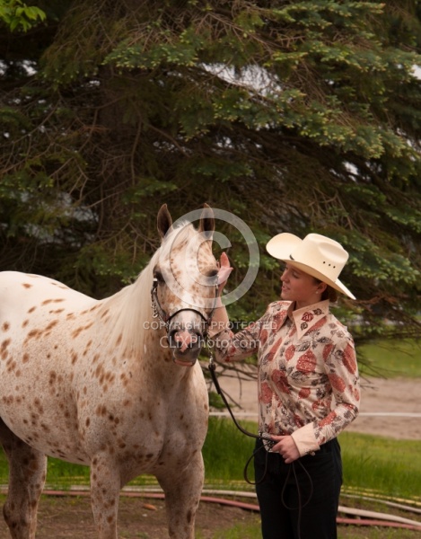  Appaloosa Showing Halter
