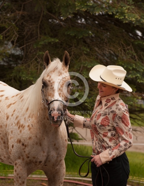 Appaloosa Showing Halter