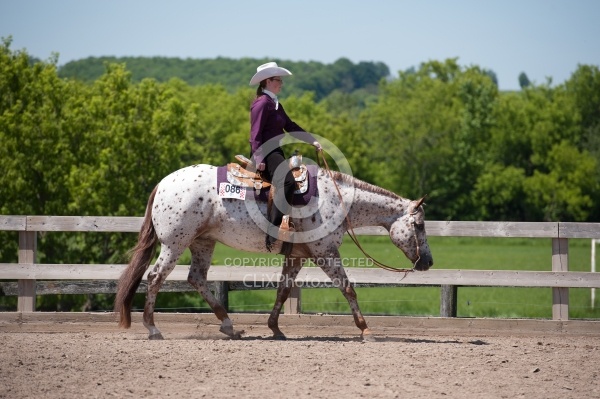 Appaloosa Western Pleasure