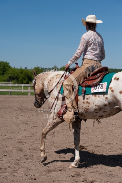 Appaloosa Showing