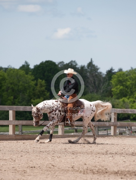 Appaloosa Reining