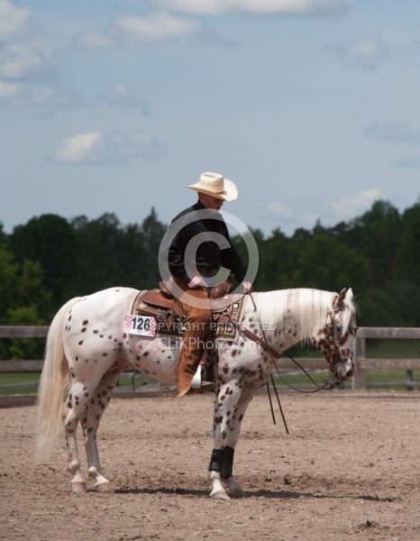 Appaloosa Reining