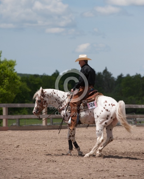 Appaloosa Reining