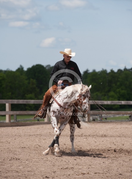 Appaloosa Reining