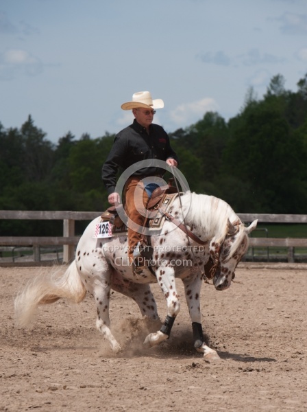 Appaloosa Reining