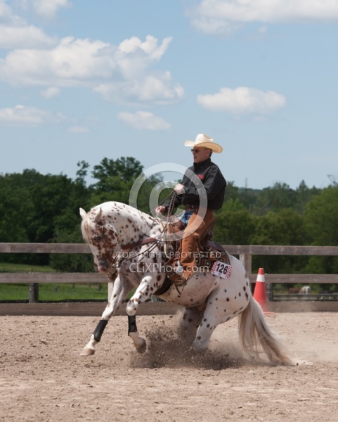 Appaloosa Reining