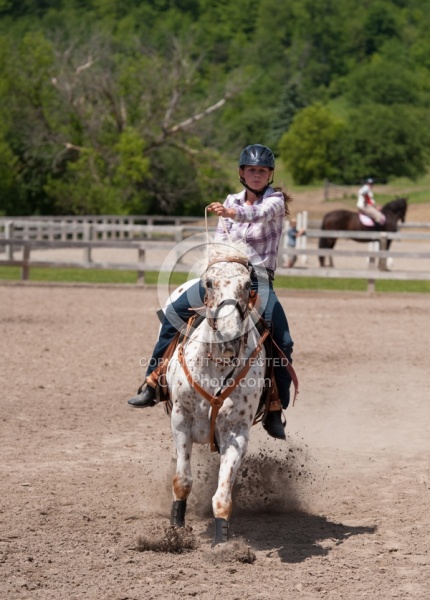 Appaloosa Pole Bending