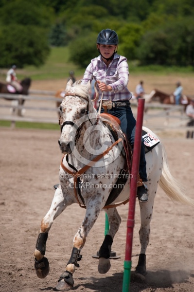 Appaloosa Pole Bending