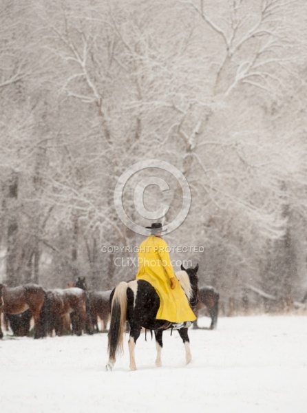 Winter Cowboys