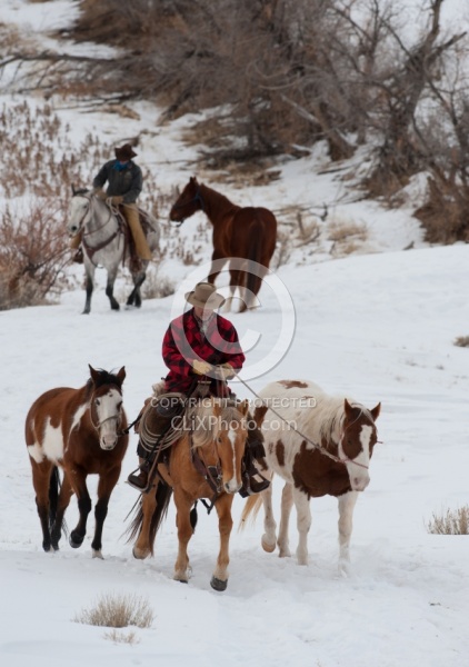 Winter Cowboys