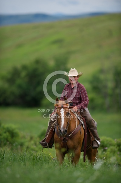 Young Cowboy