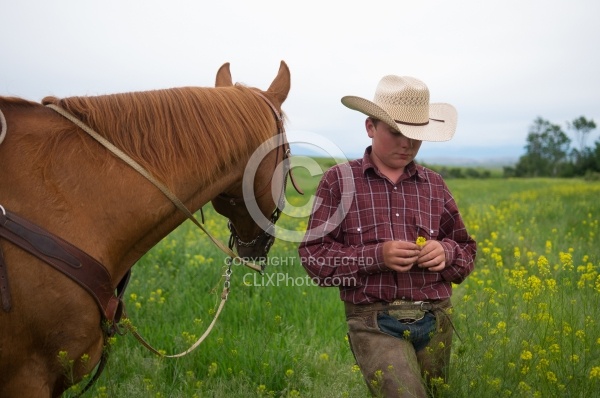 Young Cowboy