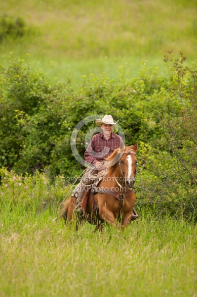 Young Cowboy
