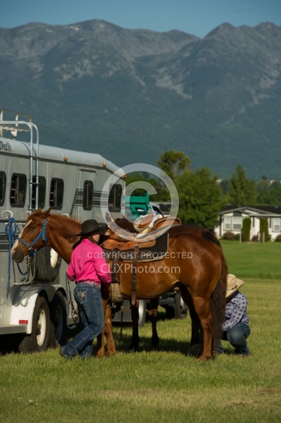 Horses at Trailer at Show