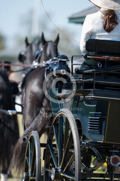 Alltech WEG Driving Driving Dressage
