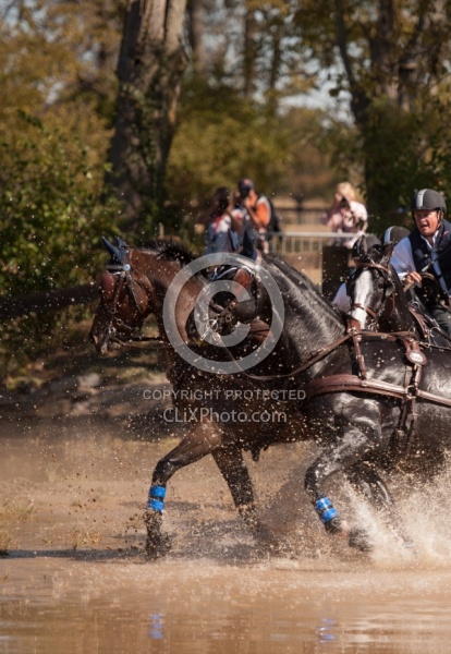  Driving Marathon WEG 2010