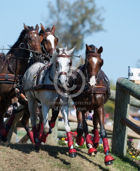  Driving Marathon WEG 2010