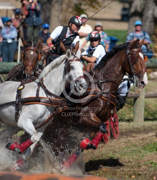  Driving Marathon WEG 2010