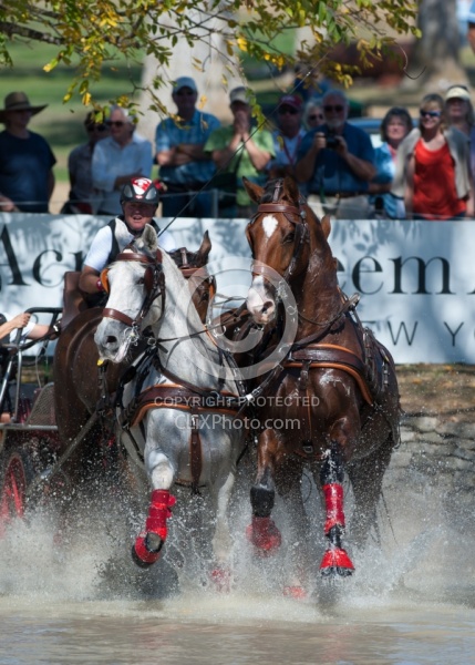  Driving Marathon WEG 2010