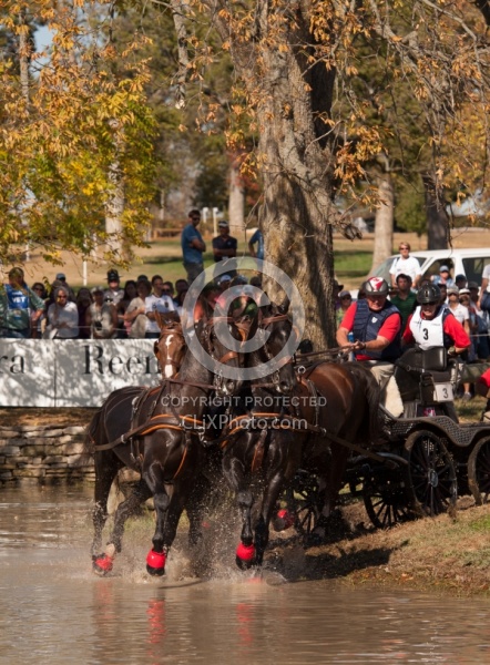  Driving Marathon WEG 2010