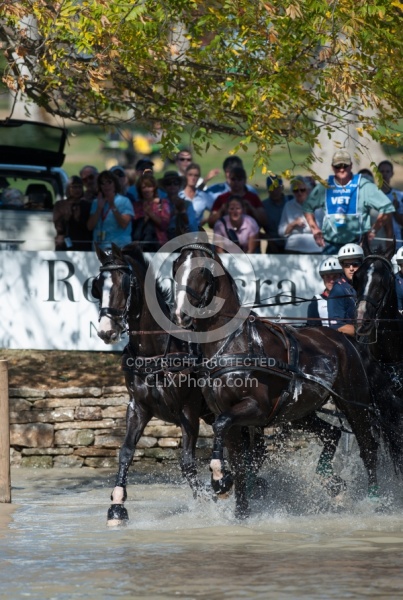  Driving Marathon WEG 2010