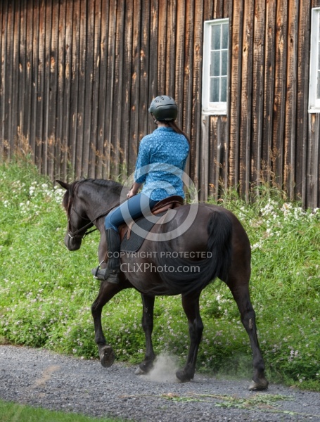 Canadian Under Saddle