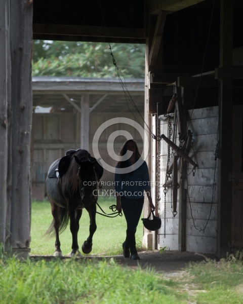 Leading Tacked Canadian