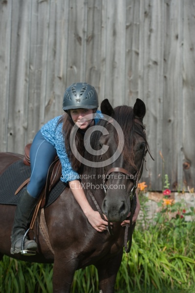 Canadian Horse with Young Girl