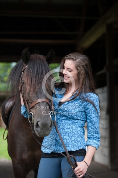 Canadian Horse with Young Girl