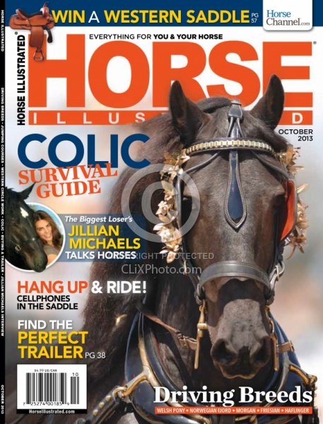 Horse Illustrated October 2013