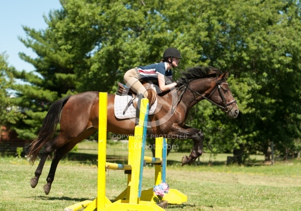 Good Position over Fence