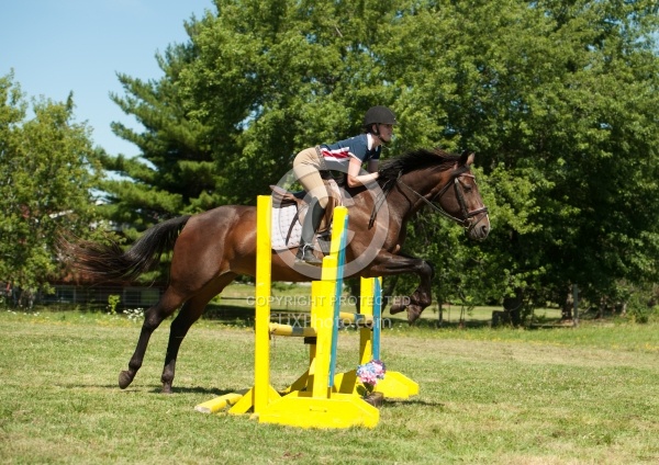 Good Position over Fence