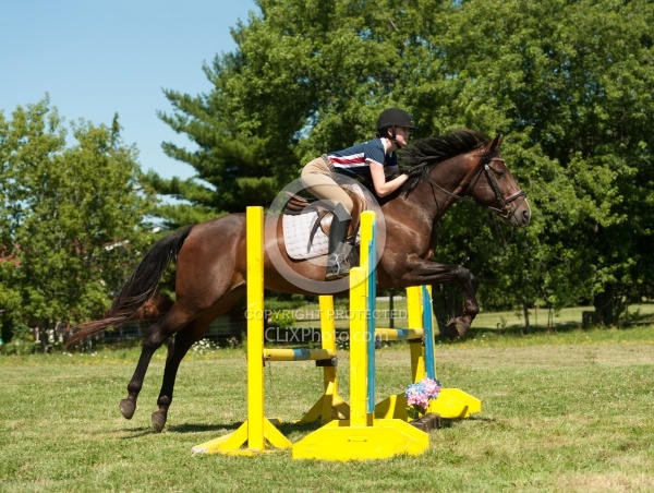 Good Position over Fence