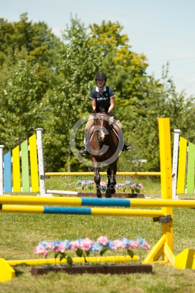 Good Position over Fence