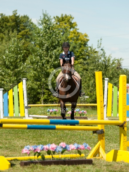 Good Position over Fence
