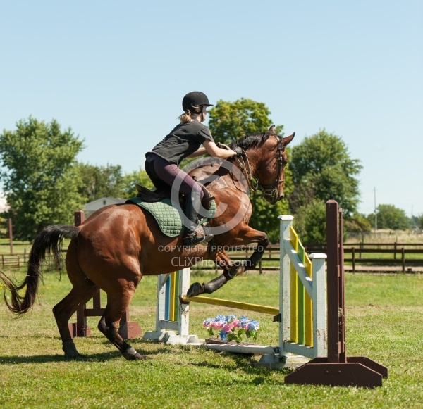 Good Position over Fence