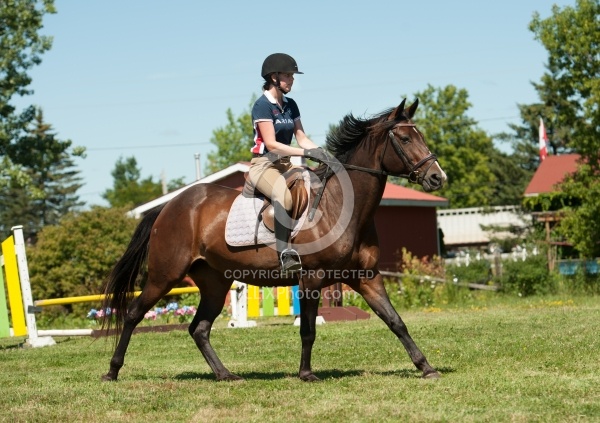 Good Position Between Fences
