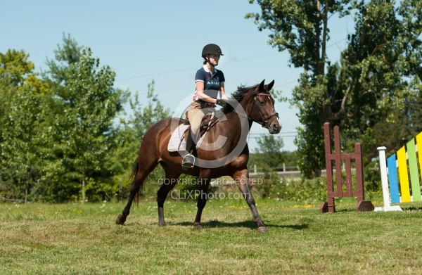 Good Position Between Fences