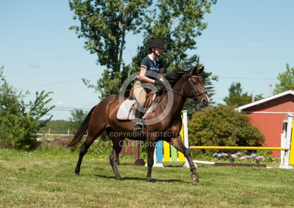 Good Position Between Fences