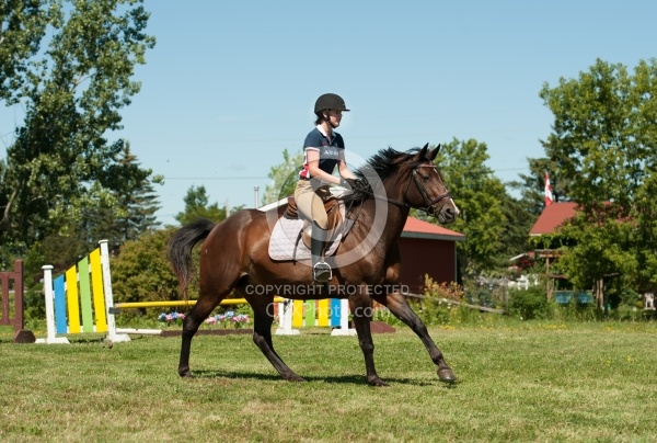 Good Position Between Fences