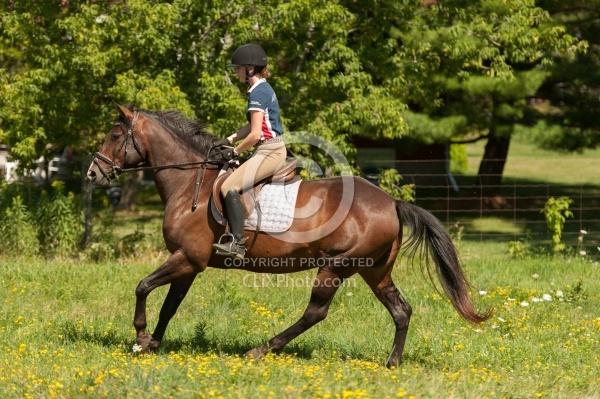 Good Position Between Fences