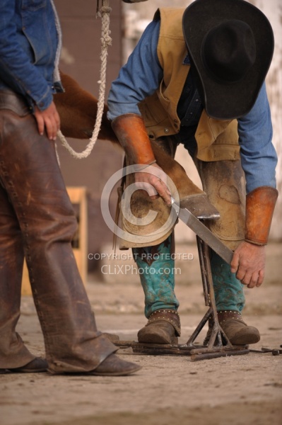 Farrier Rasping Foot