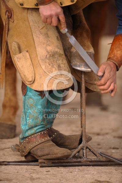 Farrier Trimming Foot