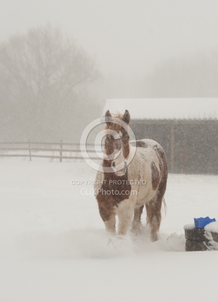 Winter Free Running Vertical